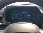 2024 Ford F-150 SuperCrew Cab 4x4 Pickup for sale #P19882 - photo 20