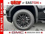 2025 GMC Sierra 1500 Double Cab 4x4 Pickup for sale #451258 - photo 29