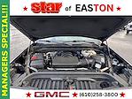 2020 GMC Sierra 1500 Crew Cab 4WD Pickup for sale #461396A - photo 30
