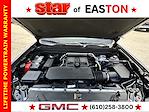 2024 Chevrolet Colorado Crew Cab 4x4 Pickup for sale #8742 - photo 31