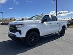2023 Chevrolet Silverado 1500 Crew Cab 4x4 Pickup for sale #EK4979 - photo 3