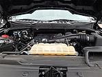 2022 Ford F-150 Regular Cab 4WD Pickup for sale #Q460430A - photo 25
