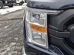 2022 Ford F-150 Regular Cab 4WD Pickup for sale #Q460430A - photo 9