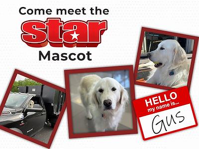 Used 2025 Audi SQ7 - photo 1