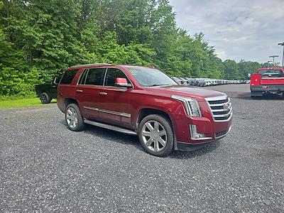 2017 Cadillac Escalade 4WD SUV for sale #QC45004A - photo 1