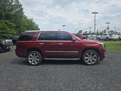2017 Cadillac Escalade 4WD SUV for sale #QC45004A - photo 2