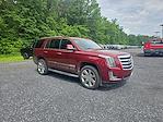 2017 Cadillac Escalade 4WD SUV for sale #QC45004A - photo 1