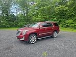 2017 Cadillac Escalade 4WD SUV for sale #QC45004A - photo 7