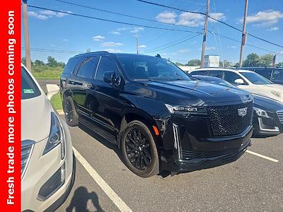 2023 Cadillac Escalade 4WD SUV for sale #QC55042B - photo 1