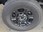 2024 Ford F-350 Regular Cab SRW 4WD Pickup for sale #N25381A - photo 10