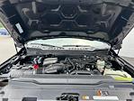 2024 Ford F-350 Crew Cab SRW 4WD Pickup for sale #2505541 - photo 20