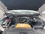 2015 Ford F-150 SuperCrew Cab 4WD Pickup for sale #2505741 - photo 19
