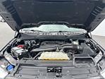 2022 Ford F-150 SuperCrew Cab 4WD Pickup for sale #2508681 - photo 20