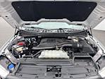 2021 Ford F-150 SuperCrew Cab 4WD Pickup for sale #2510381 - photo 20