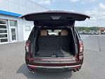 2023 Chevrolet Tahoe 4WD SUV for sale #2510791 - photo 20