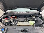 2022 Ford F-150 SuperCrew Cab 4WD Pickup for sale #2602471 - photo 20