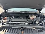 2023 Chevrolet Silverado 1500 Crew Cab 4WD Pickup for sale #700444 - photo 19