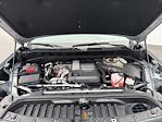 2024 Chevrolet Silverado 1500 Crew Cab 4WD Pickup for sale #7005701 - photo 20