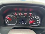 2024 Chevrolet Silverado 1500 Regular Cab RWD Pickup for sale #700587 - photo 12