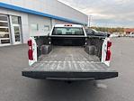 2024 Chevrolet Silverado 1500 Regular Cab RWD Pickup for sale #700587 - photo 17