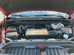 2024 GMC Sierra 1500 Crew Cab 4WD Pickup for sale #700641 - photo 19