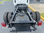 New 2024 Chevrolet Silverado 5500 Work Truck Regular Cab 4x4 Cab Chassis for sale #NC4964 - photo 11