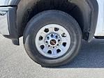 New 2025 GMC Sierra 3500 Pro Regular Cab 4WD Pickup for sale #G252538 - photo 6
