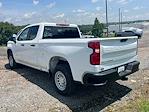 2025 Chevrolet Silverado 1500 Double Cab 4x2 Pickup for sale #C256343 - photo 6