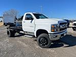 2024 Chevrolet Silverado 5500 Regular Cab DRW 4x4, Cab Chassis for sale #C46393 - photo 1