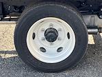 New 2024 Chevrolet LCF 4500HG Regular Cab Box Truck with Liftgate for sale #C46716 - photo 12