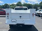 2024 GMC Sierra 2500 Regular Cab 4x4 Reading Service Truck for sale #C46686 - photo 7