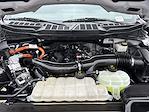 2024 Ford F-150 SuperCrew Cab 4x4 Pickup for sale #DT44856A - photo 31