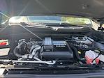 2024 Chevrolet Silverado 1500 Crew Cab 4WD Pickup for sale #T44344A - photo 31