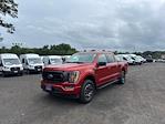 2023 Ford F-150 SuperCrew Cab 4x4 Pickup for sale #23UC8675 - photo 3