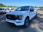 2023 Ford F-150 SuperCrew Cab 4x4 Pickup for sale #23UC8681 - photo 4