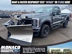 2024 Ford F-350 Regular Cab SRW 4WD Plow Truck for sale #24UC9309 - photo 4