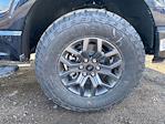 New 2025 Ford F-150 Tremor SuperCrew Cab for sale #251267 - photo 9