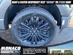 New 2025 Ford F-150 Platinum SuperCrew Cab for sale #251366 - photo 9
