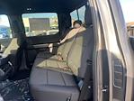 2025 Ford F-150 SuperCrew Cab 4WD Pickup for sale #251412 - photo 10