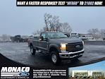 2025 Ford F-250 Regular Cab 4x4 Pickup for sale #259335 - photo 1