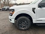 2025 Ford F-150 SuperCrew Cab 4WD Pickup for sale #259371 - photo 11