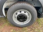 New 2026 Ford Transit 250 Low Roof Empty Cargo Van for sale #261154 - photo 10