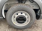 New 2026 Ford Transit 250 Medium Roof Empty Cargo Van for sale #261187 - photo 10