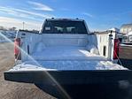 New 2026 Ford F-150 XL SuperCrew Cab for sale #261502 - photo 9