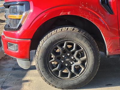 Used 2024 Ford F-150 - photo 1