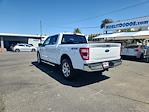 2023 Ford F-150 SuperCrew Cab 4x4 Pickup for sale #24336 - photo 5