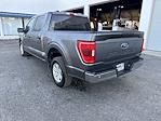 2023 Ford F-150 SuperCrew Cab 4x2 Pickup for sale #24354 - photo 2