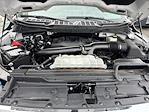 2023 Ford F-150 SuperCrew Cab 4x4 Pickup for sale #24357 - photo 22