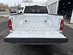 2023 Ford F-150 SuperCrew Cab 4x4 Pickup for sale #24357 - photo 23