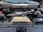 2021 Ford F-150 SuperCrew Cab 4x2 Pickup for sale #24358 - photo 22